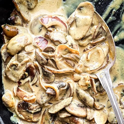 Mushroom Cream Sauce - Miss Cookalot