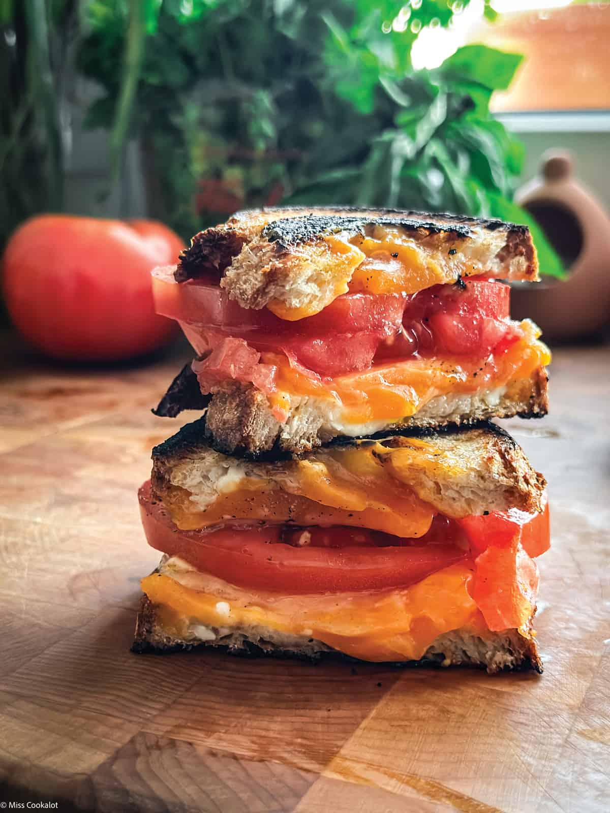Two pieces of tomato mayo sandwich with melty cheddar cheese, stacked on a wooden table, at the back green herbs in vases.